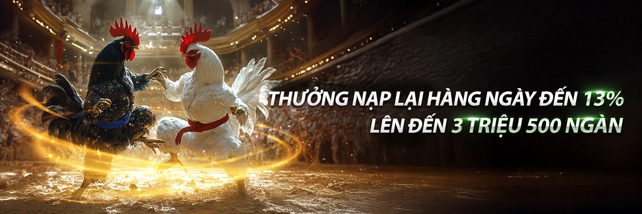 Đá gà trực tuyến kịch tính tại bet678