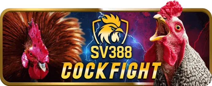 Hình ảnh liên hệ bet678